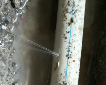 哈尔滨市卫生间测漏水多少钱